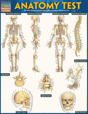 ANATOMY TEST