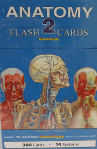 Flashcards Anatomy 2