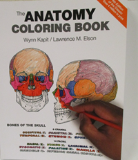 The Anatomy Coloring Book