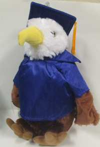 Graduation Eagle