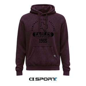 CTC branded soft hoodie in distressed wash colors.